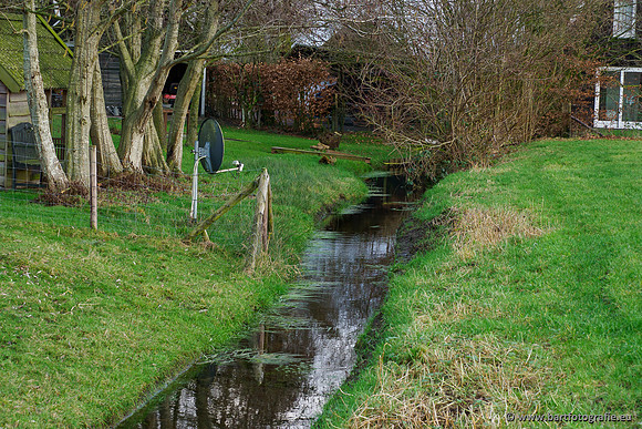 Middelste Heerdense beek 070220-192
