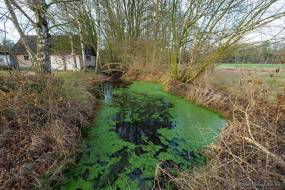 Middelste Heerdense beek 070220-193