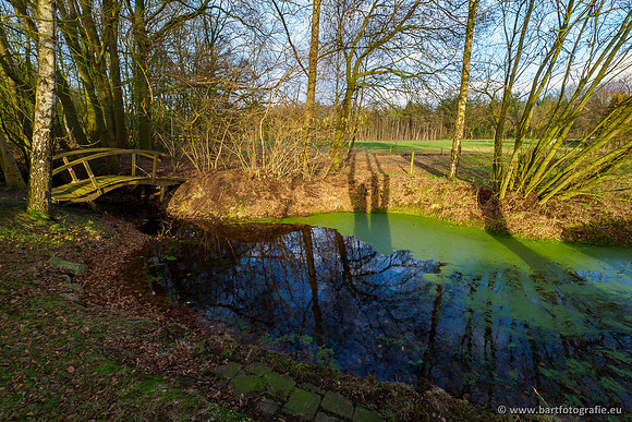 Middelste Heerdense beek 070220-194
