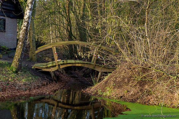 Middelste Heerdense beek 070220-195