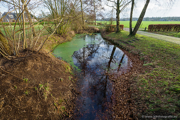 Middelste Heerdense beek 070220-196