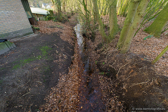 Middelste Heerdense beek 070220-197