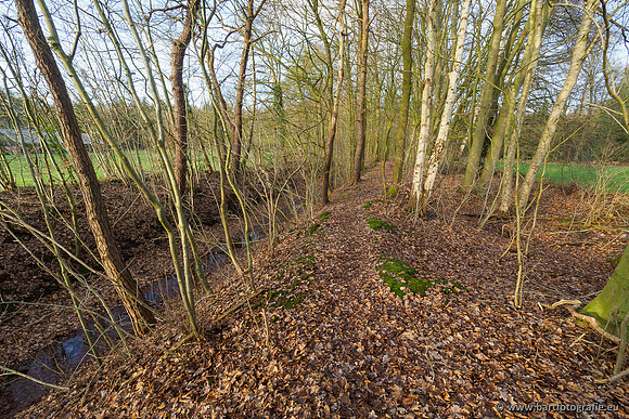 Middelste Heerdense beek 070220-198