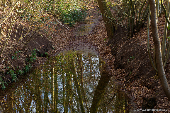 Middelste Heerdense beek 070220-199