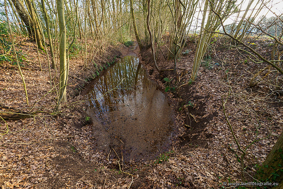 Middelste Heerdense beek 070220-200