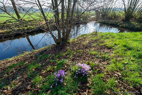 Middelste Heerdense beek 070220-202