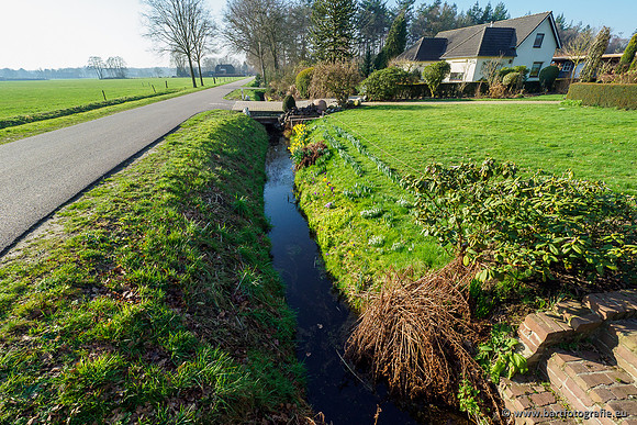 Middelste Heerdense beek 070220-208