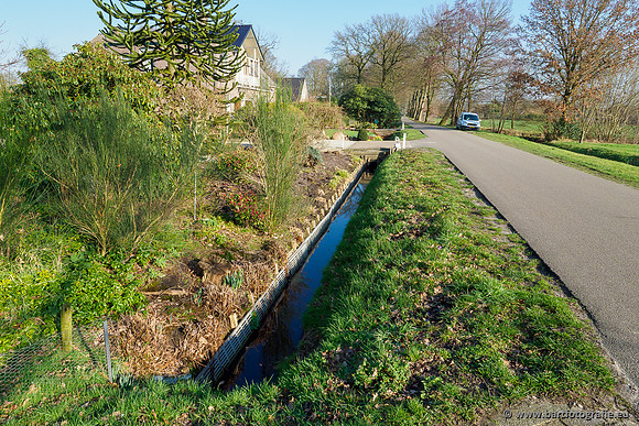 Middelste Heerdense beek 070220-209