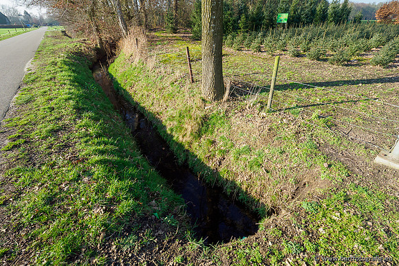 Middelste Heerdense beek 070220-211