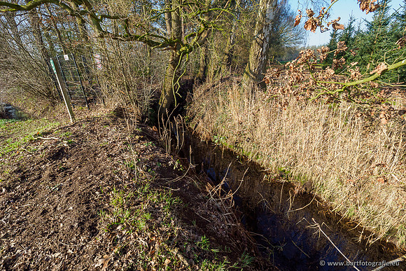 Middelste Heerdense beek 070220-212