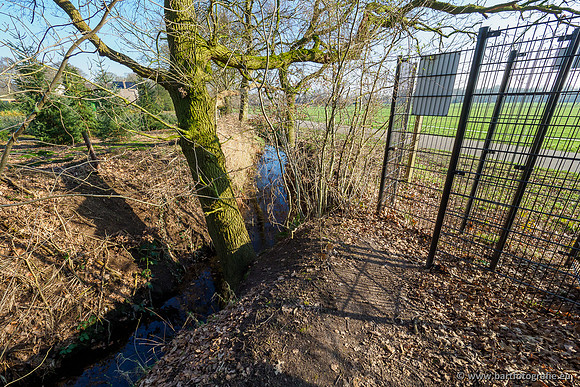 Middelste Heerdense beek 070220-214