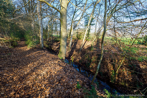 Middelste Heerdense beek 070220-215