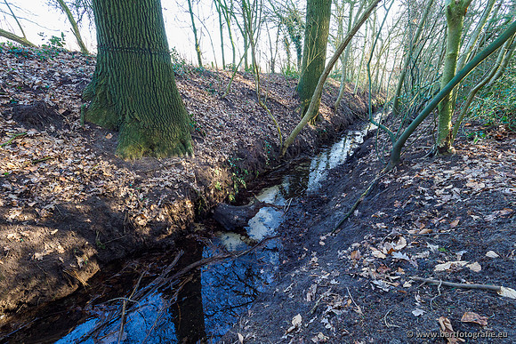Middelste Heerdense beek 070220-216