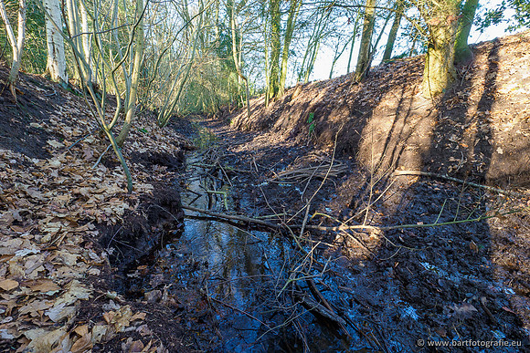 Middelste Heerdense beek 070220-217