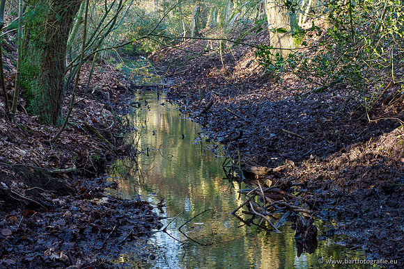 Middelste Heerdense beek 070220-218