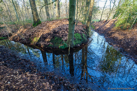 Middelste Heerdense beek 070220-221