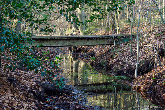 Middelste Heerdense beek 070220-222