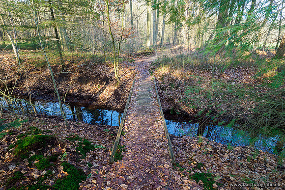 Middelste Heerdense beek 070220-223