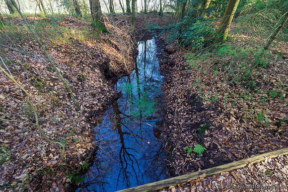 Middelste Heerdense beek 070220-225