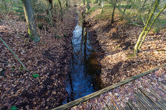 Middelste Heerdense beek 070220-226