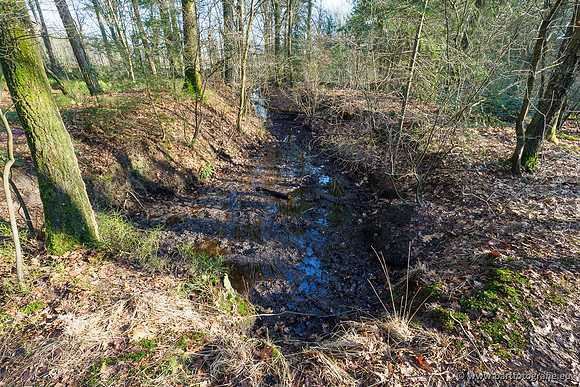 Middelste Heerdense beek 070220-227