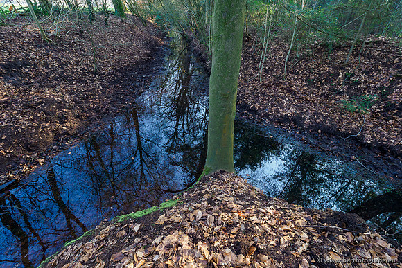 Middelste Heerdense beek 070220-228