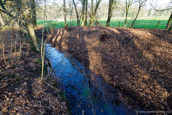 Middelste Heerdense beek 070220-229