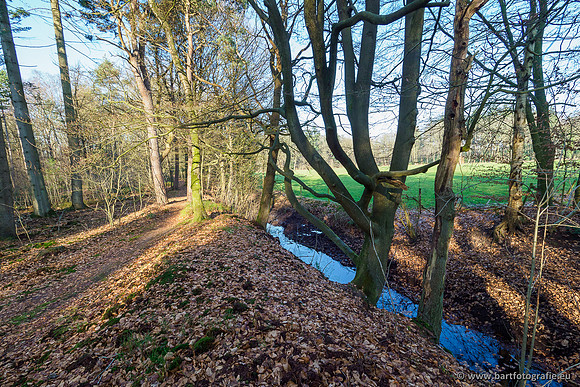 Middelste Heerdense beek 070220-230