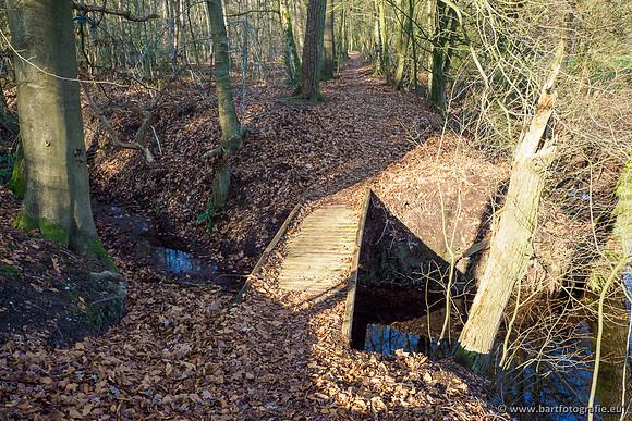 Middelste Heerdense beek 070220-231
