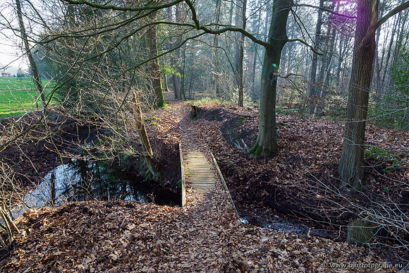 Middelste Heerdense beek 070220-232