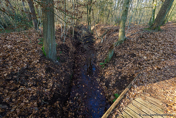 Middelste Heerdense beek 070220-233