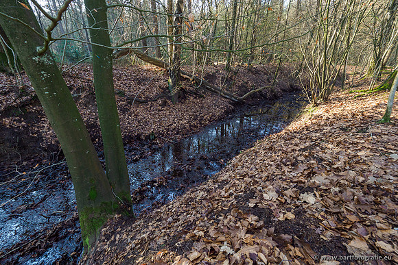 Middelste Heerdense beek 070220-234