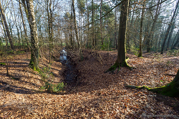 Middelste Heerdense beek 070220-235