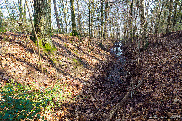 Middelste Heerdense beek 070220-236