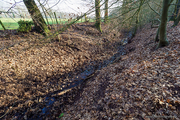 Middelste Heerdense beek 070220-237