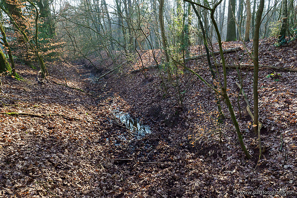 Middelste Heerdense beek 070220-239