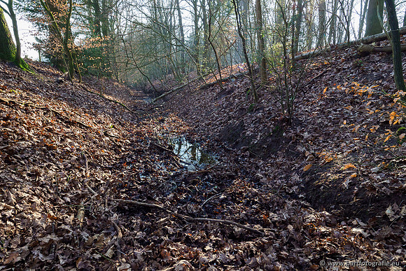 Middelste Heerdense beek 070220-240