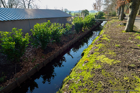 Middelste Heerdense beek 070220-241