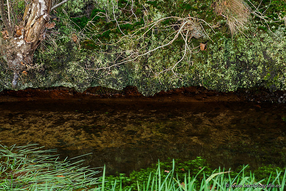 Middelste Heerdense beek 070220-242