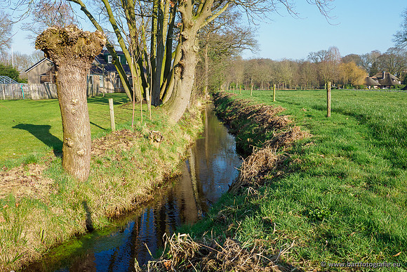 Middelste Heerdense beek 070220-252