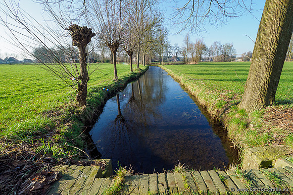 Middelste Heerdense beek 070220-261