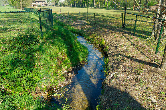 Middelste Heerdense beek 070220-262