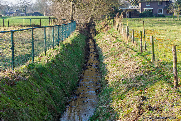 Middelste Heerdense beek 070220-263