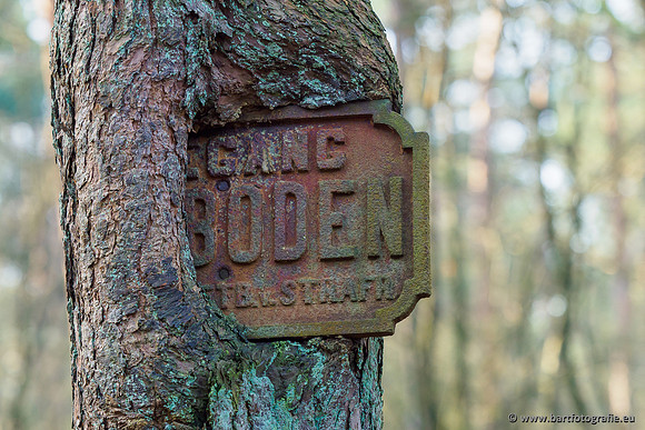 Middelste Heerdense beek 070220-266