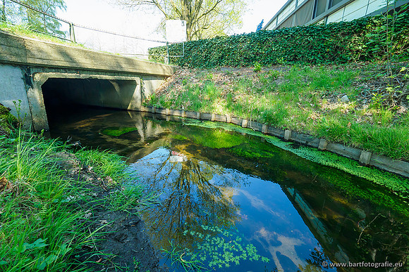 Heerder beek en Vosbeek 190220-006