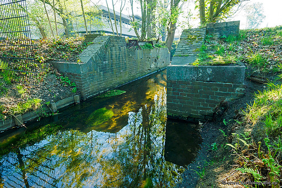 Heerder beek en Vosbeek 190220-008