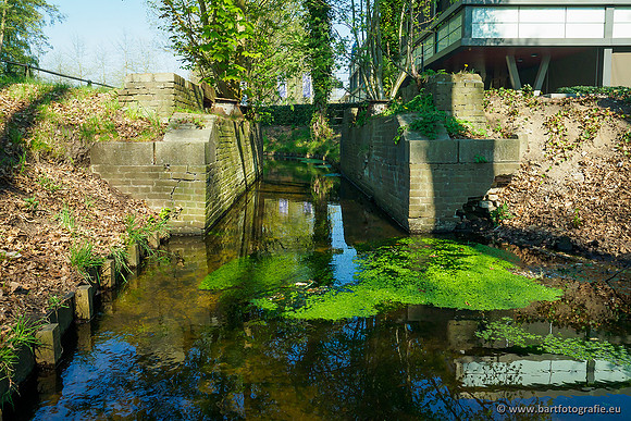 Heerder beek en Vosbeek 190220-010