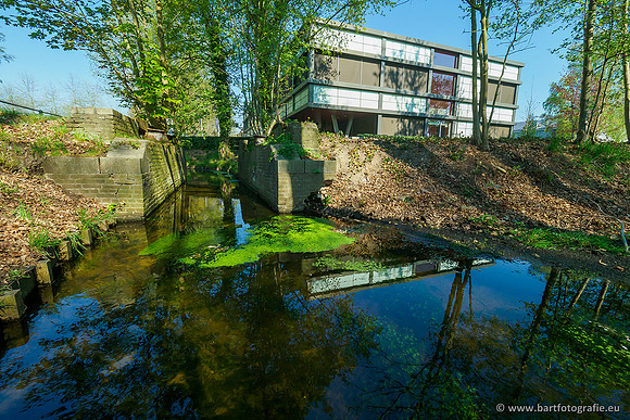 Heerder beek en Vosbeek 190220-011