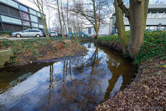 Heerder beek en Vosbeek 190220-013