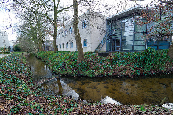 Heerder beek en Vosbeek 190220-014